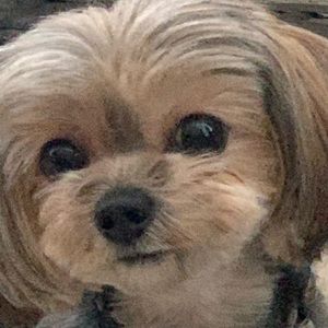 Meet your Posher, Ernest